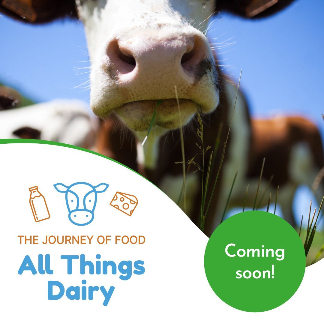 TheRHET's tweet photo. For the 2024/25 academic year we are excited to be delivering the Journey of Food: All Things Dairy!  

Find out more here https://t.co/MZU6dU3SEz and follow us on socials to keep up to date. 

@‌AHDB_Scot https://t.co/DJpPr9LxdG