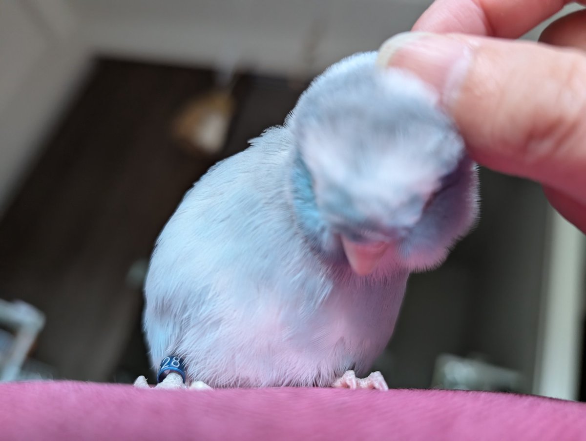 マッサージたいむ