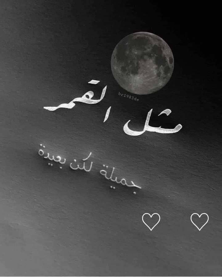 احمد رجب tweet media