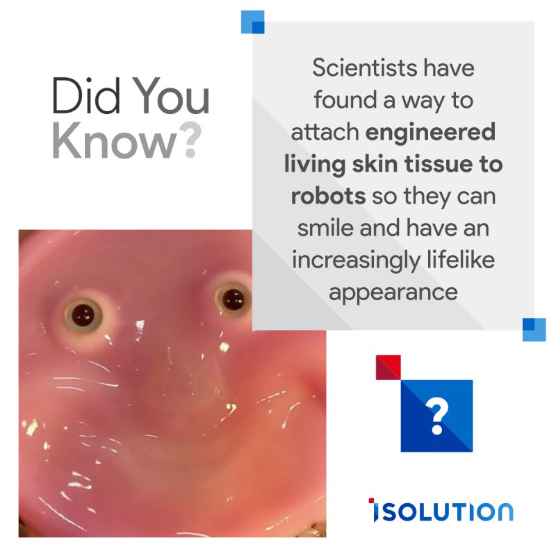 iSolutionMENA's tweet image. Did You Know ❓

Check out the full article 🔻
lnkd.in/eRpYqQi9

#Living_Skin_Tissue   #Robotics_Innovation