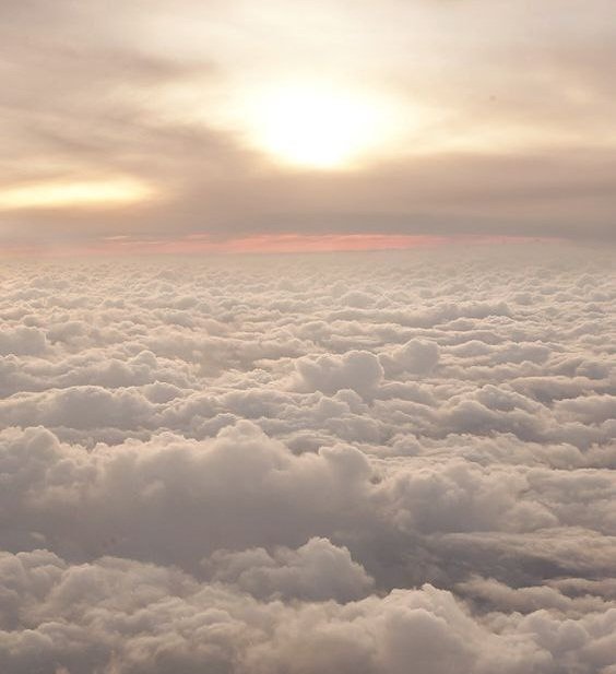 Gm fam!🌄
Have a nice day!💗