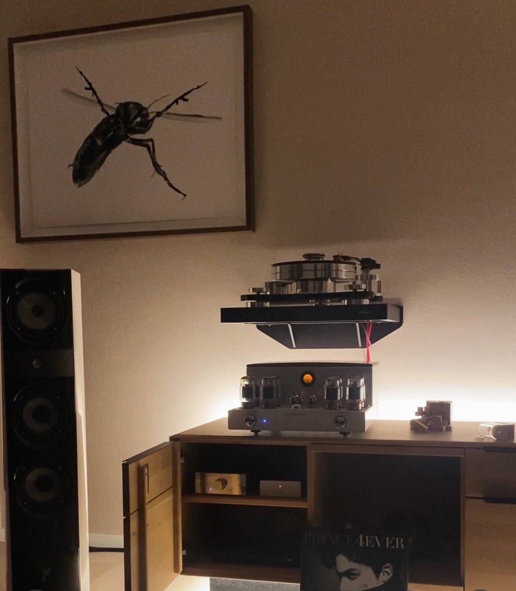 Solidsteel_IT's tweet photo. Here is a nice personal music space with worldwide renowned #solidsteel WS-5 Turntable Wall Shelf.
#hifi #hifirack #highendaudio #highfidelity #audiophile https://t.co/1iBxPVAmM2