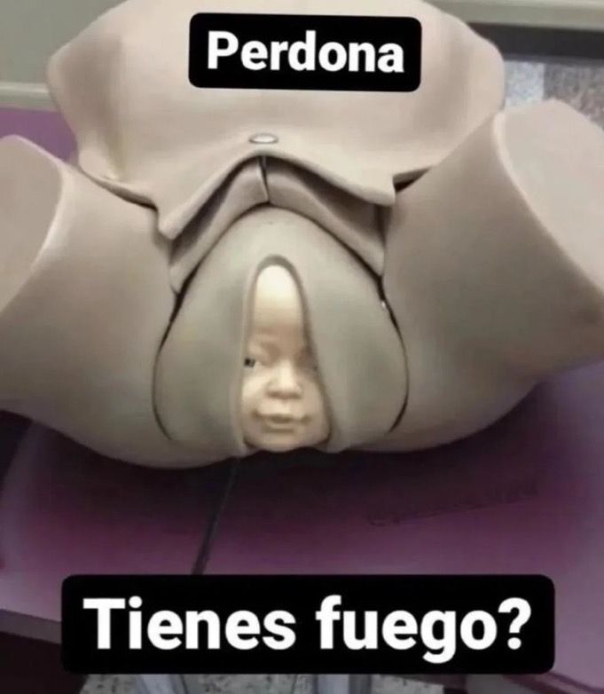 Memakker (@memakker) on Twitter photo 