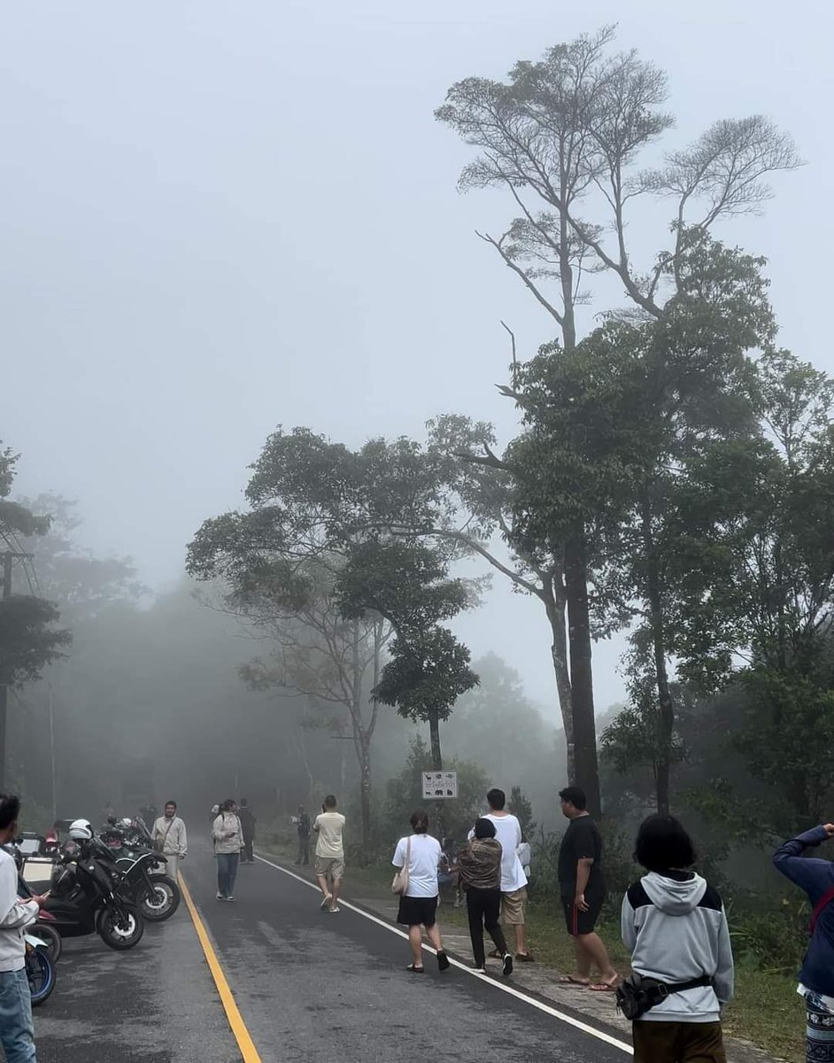 Narongsak_PTE's tweet image. บรรยากาศยามเช้า #เขาเขียว
อุทยานแห่งชาติเขาใหญ่ - Khao Yai National Park 🌳🏔️ หมอกปลิวผ่านไปมา 

#Khaoyai #Thailand  #ที่พักเขาใหญ่ #เที่ยวเขาใหญ่ #เขาใหญ่ #น้ำผุดเขาใหญ่ #คาเฟ่เขาใหญ่ #อุทยานแห่งชาติเขาใหญ่ #ธรรมชาติ