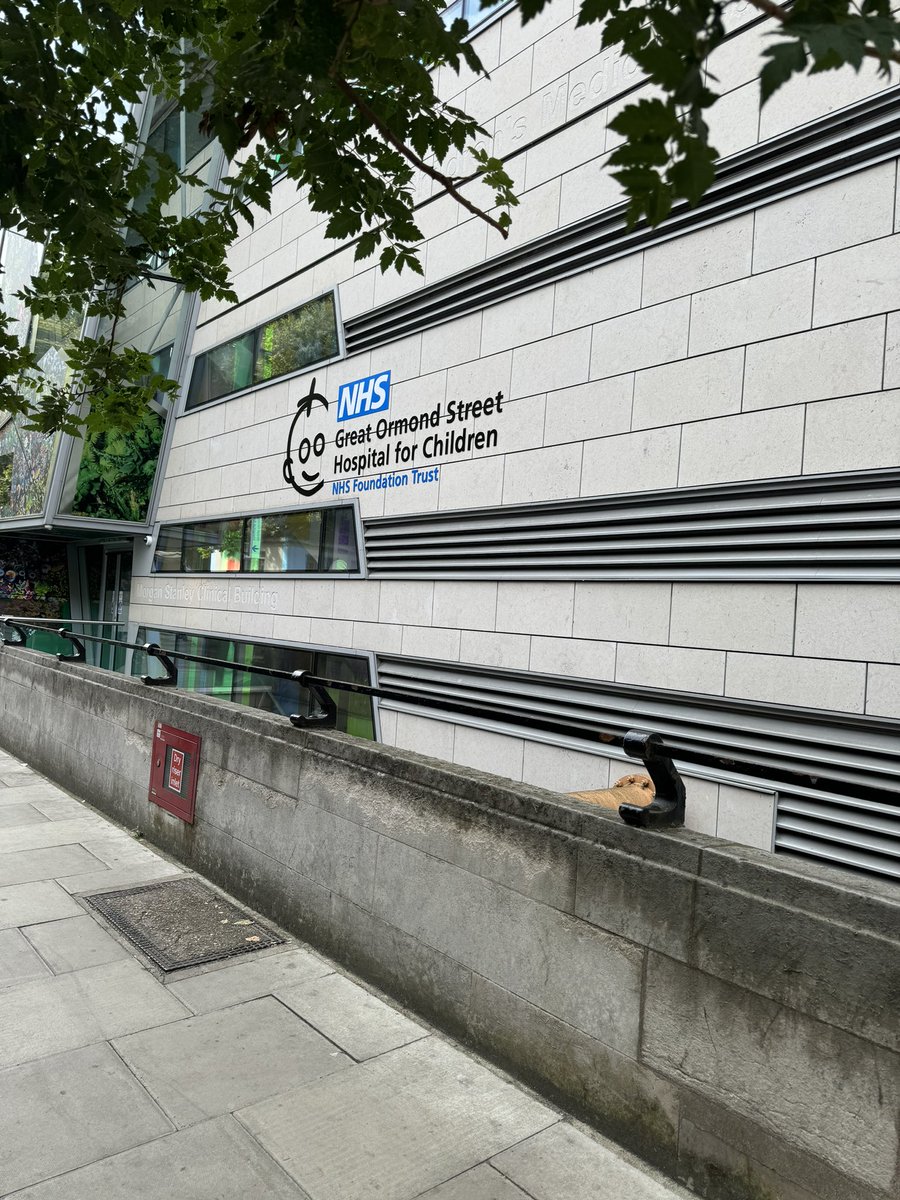 stophateuk's tweet photo. Yesterday we delivered an #Islamophobia awareness session to @GreatOrmondSt staff discussing impact of anti-Muslim #hate Thank you to staff who shared own experiences with colleagues helping understanding &amp; appreciation of the hurt caused by hostility, prejudice &amp; discrimination https://t.co/G9CArnb5kc