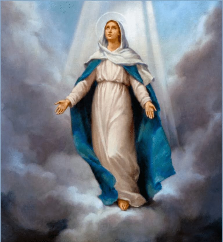 La Santísima Virgen María, cumplido el curso de su vida terrena, fue llevada en cuerpo y alma a la gloria del cielo, en donde ella participa ya en la gloria de la resurrección de su Hijo, anticipando la resurrección de todos los miembros de su Cuerpo» (CIC, 974).