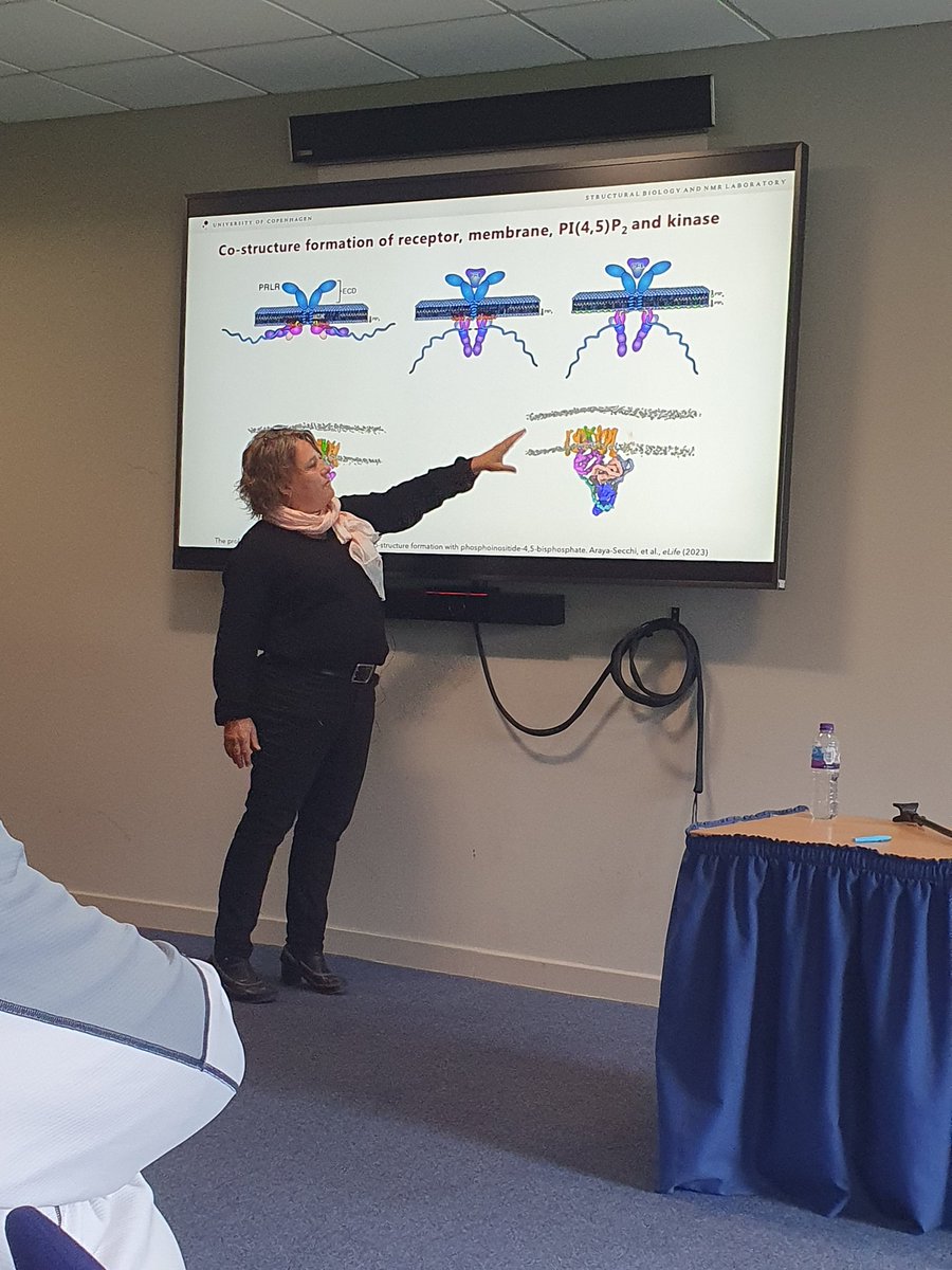 Fantastic plenary lecture of Pr Birthe Kragelund at the GroPro meeting in Scotland teaching biologists about the importance of intrinsically disordered regions of PRLR and GHR for biological activity.
