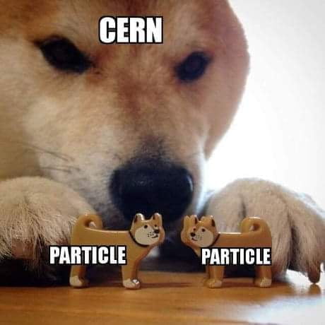 ThePhysicsMemes's tweet photo. Boop #quantumphysics https://t.co/JssKhXOMnP
