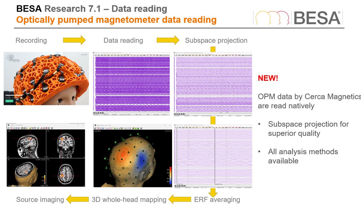 One of the main barriers to adoption of the Cerca system in the clinical community is the lack of established analysis pipelines. But did you know you can analyse Cerca OPM-MEG data using a fully certified software package? <a href="/BesaGmbh/">BESA GmbH</a> cercamagnetics.com/articles/besa-…