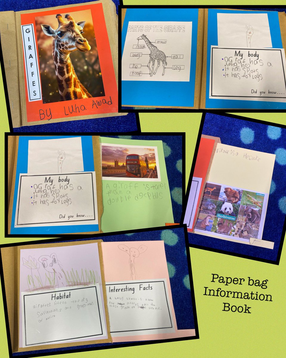 So incredibly proud of these students, shining bright as authors! We made books using paper bags and wrote an information text on an animal we researched. <a href="/CurranPS/">Curran Public School</a> <a href="/diamondM64/">Mark Diamond</a> <a href="/NSWEducation/">NSW Dept of Education</a> @theALNF