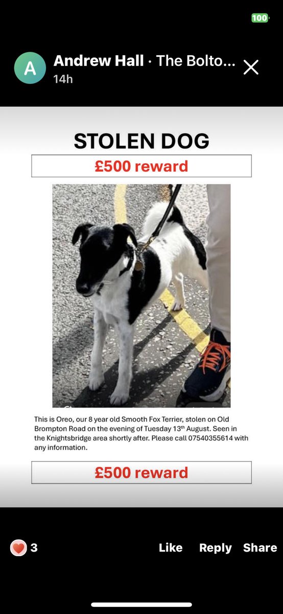 nicola291's tweet photo. Stolen dog #reward contact Andrew Hall https://t.co/bt0OYT7m1o