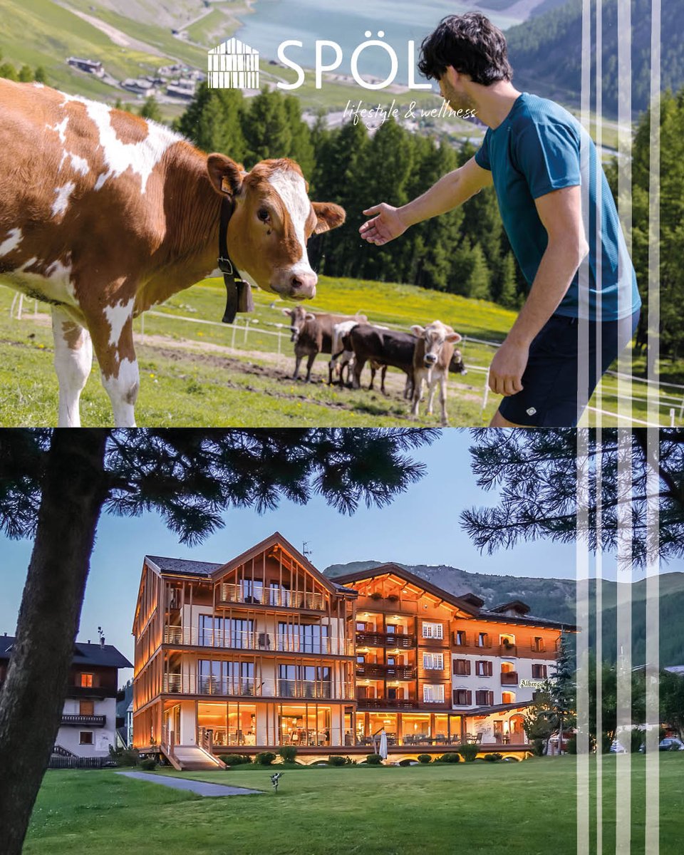 HotelSpol's tweet photo. Mountain experience con #hotelspol a #livigno ☀️🌿☀️🌿
#adultsonlyhotel #wellnesshotel #lifestylehotel https://t.co/P05ABkanVU