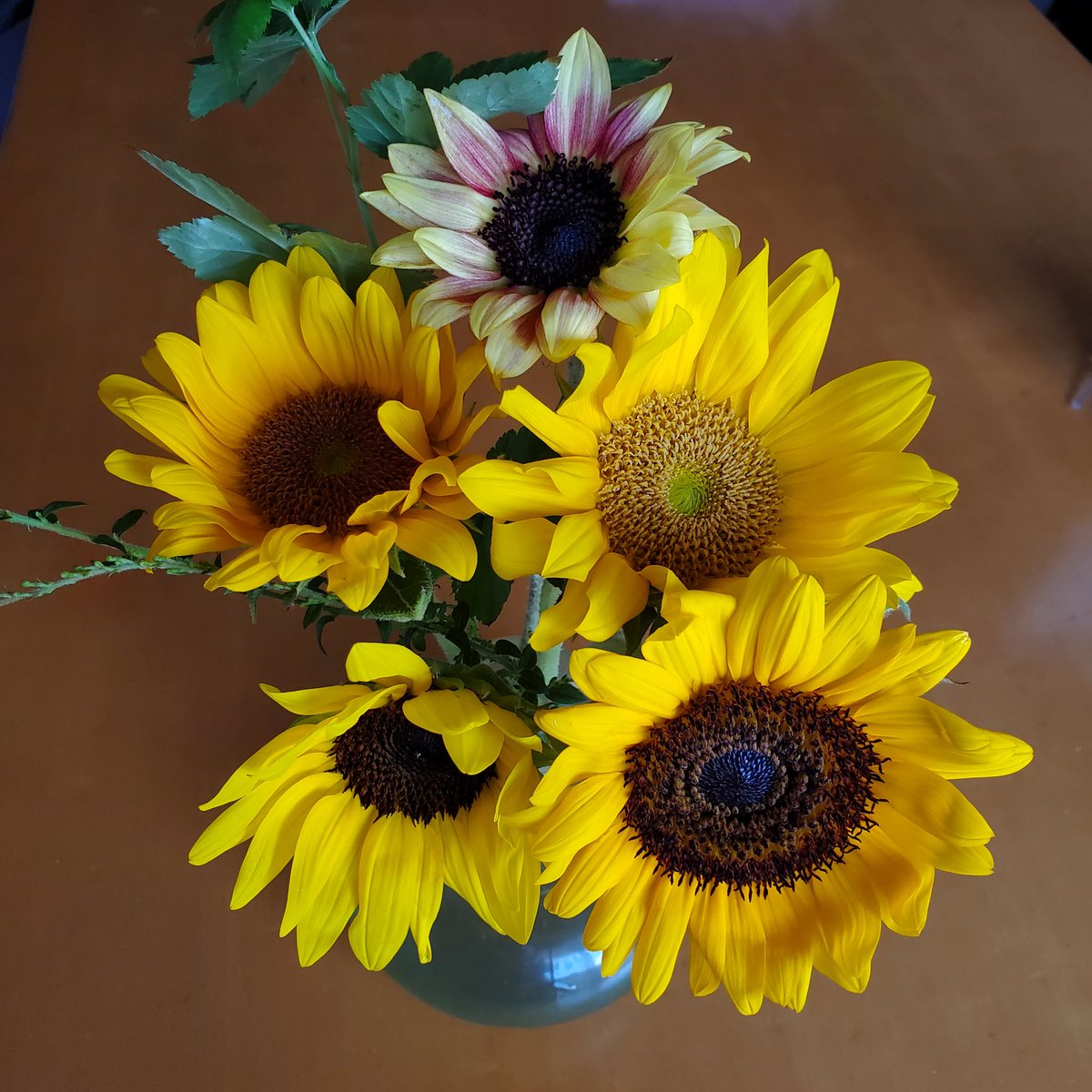 今日、娘のバイト給料日だったんだけど、私に誕生日のお花を買ってきてくれたー😭（去年は無視だった😅）
別府旅行でも、もうコイツとは行かねぇー！！と思うところがたくさんあったけど、帳消しされました😆💕
ありがとう😊