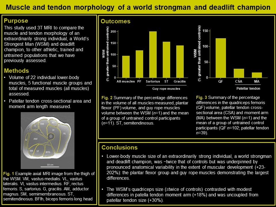Muscle and tendon morphology of a world strongman and deadlift champion 🏋️‍♀️💪
journals.physiology.org/doi/abs/10.115…