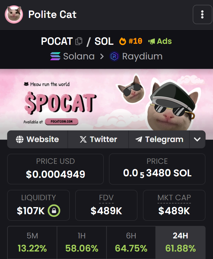 Polite Cat 😼 tweet media