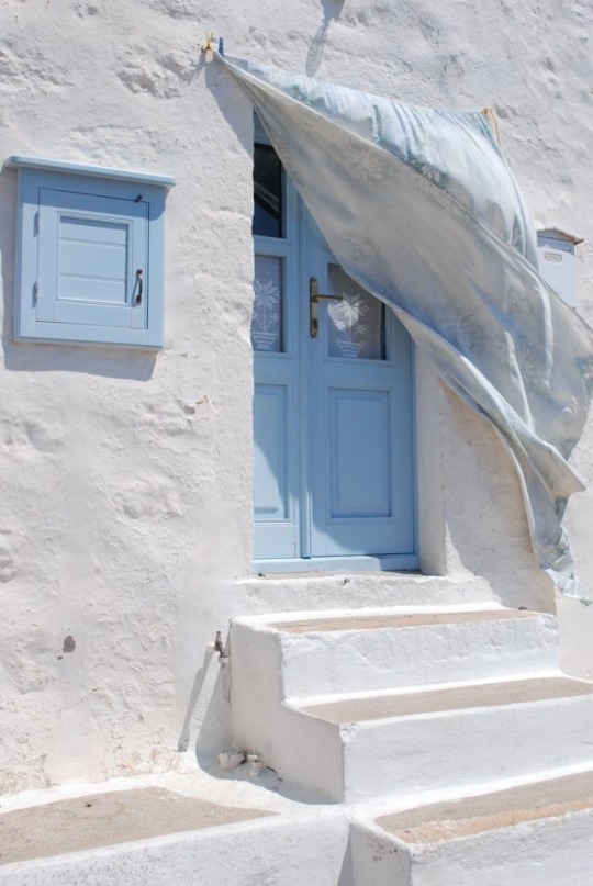 Francisco Ribeiro (@fraveris) on Twitter photo 