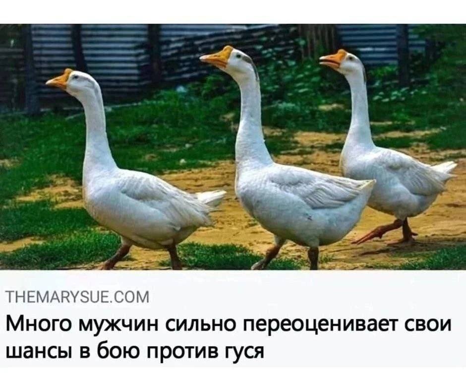 chilla's art onryo | 怨霊 (@_monsterdisco) on Twitter photo 