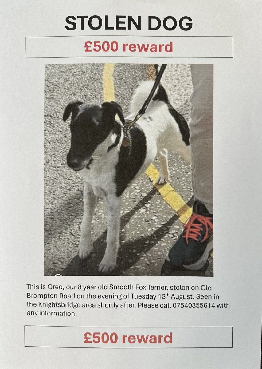 Thank you to everyone who shared this— it’s really appreciated. No news yet, sadly, though police are now on it.

I’ll return my Twitter account to normal service shortly, but one final ask: if anyone based in London reading this has a second, it’d mean a ton if you could print