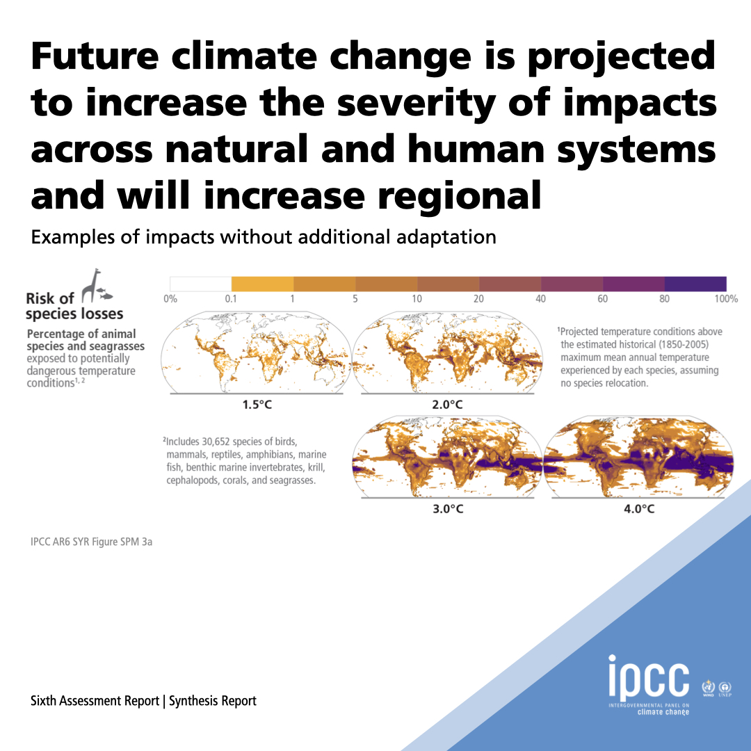 #IPCC's Synthesis Report 

🌡️ Future #climatechange is projected to increase the severity of impacts across natural &amp; human systems &amp; will increase regional differences.

🦒 What is the risk of species losses at different levels of warming? 

🔗 bit.ly/SRYRpt23