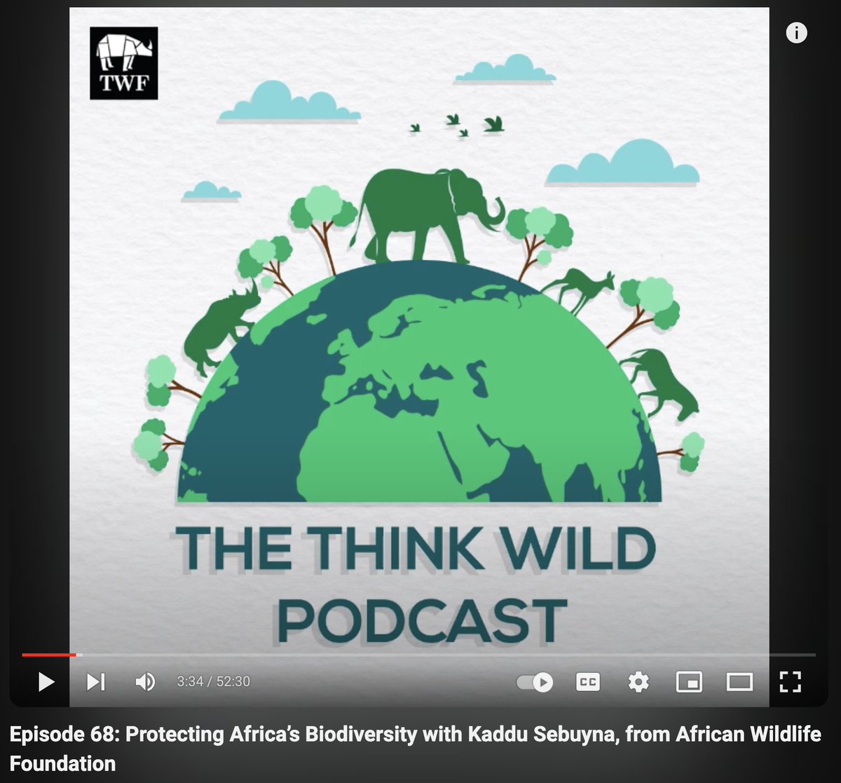 Kaddu Sebunya (@awfceo) on Twitter photo I'm thrilled to share this insightful conversation I had on the <a href="/ThinkWildlifeFn/">Think Wildlife Foundation</a> Podcast!
In this episode, I discuss the importance of Africa taking the lead in its own #conservation efforts. Our continent's future is closely tied to our ability to protect its #naturalheritage, I'm thrilled to share this insightful conversation I had on the <a href="/ThinkWildlifeFn/">Think Wildlife Foundation</a> Podcast!
In this episode, I discuss the importance of Africa taking the lead in its own #conservation efforts. Our continent's future is closely tied to our ability to protect its #naturalheritage,