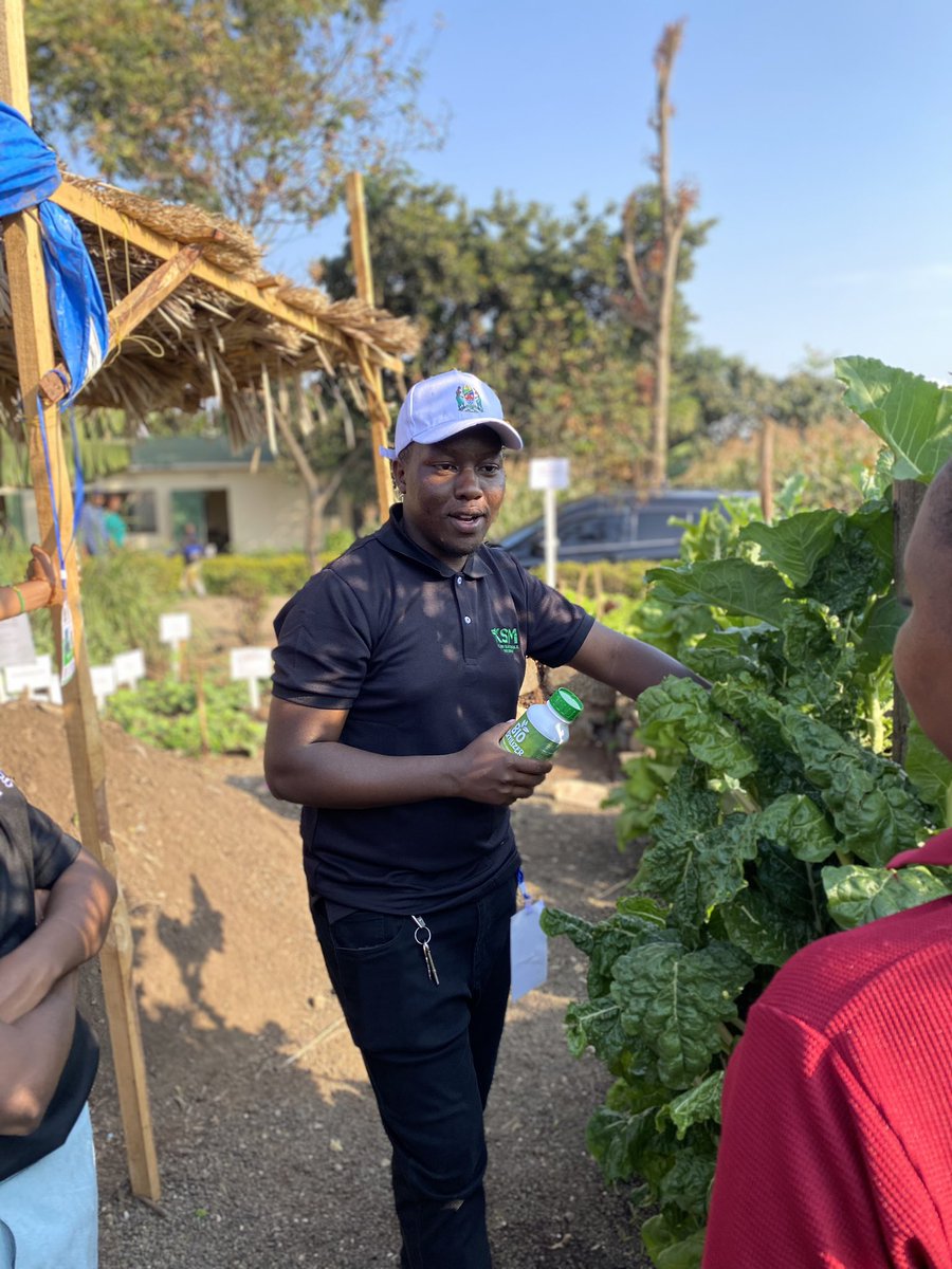 FrankKisamo1's tweet photo. Vijana, huu ndio wakati wetu wa kujifunza na kuwekeza katika kilimo! 

Nimefurahi sana kupata fursa ya kutembelewa na #AFSYL kujifunza kuhusu kilimo hai na namna ya kuboresha mifumo yetu ya chakula kwa mustakabali bora wa jamii.

#Vijana4Food #NFPYouthVoices #Act4Food https://t.co/Ykw3D68Y84