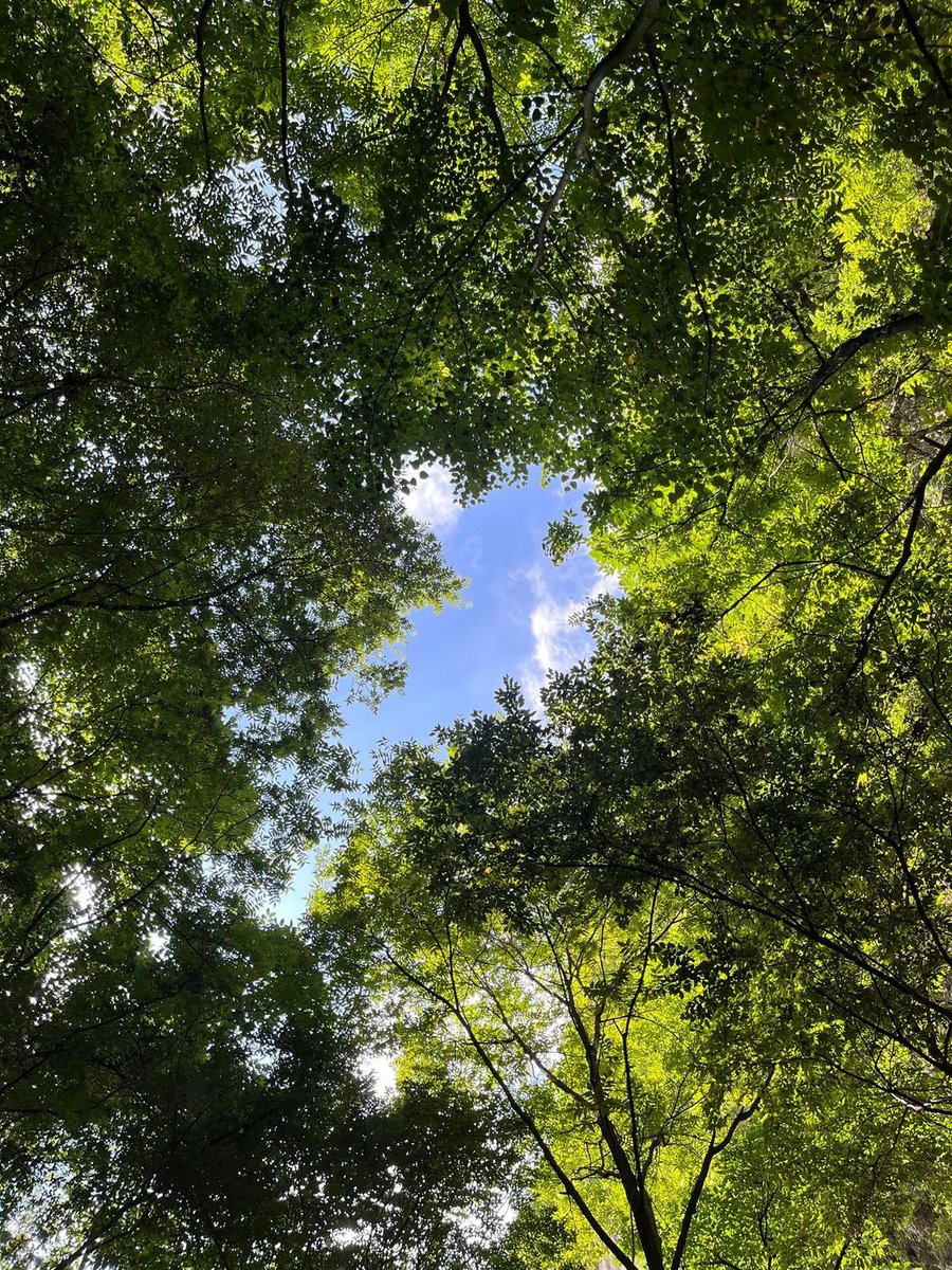 生活就像煲汤，需要慢火细熬，才能出真味。
花有期，雨不误，人有念，风不负，愿时光不老，我们都好!
