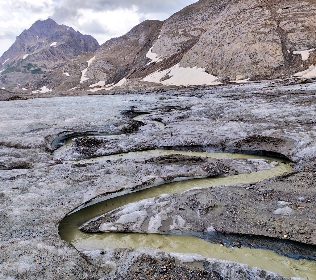 Matthias Huss tweet media