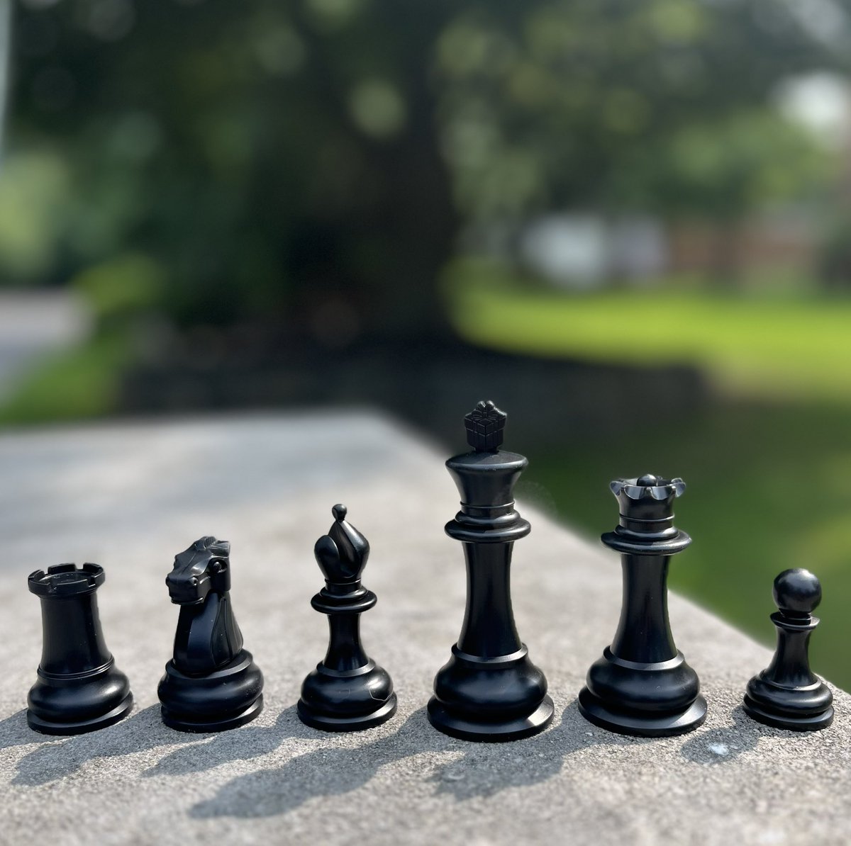 The Gift of Chess tweet media