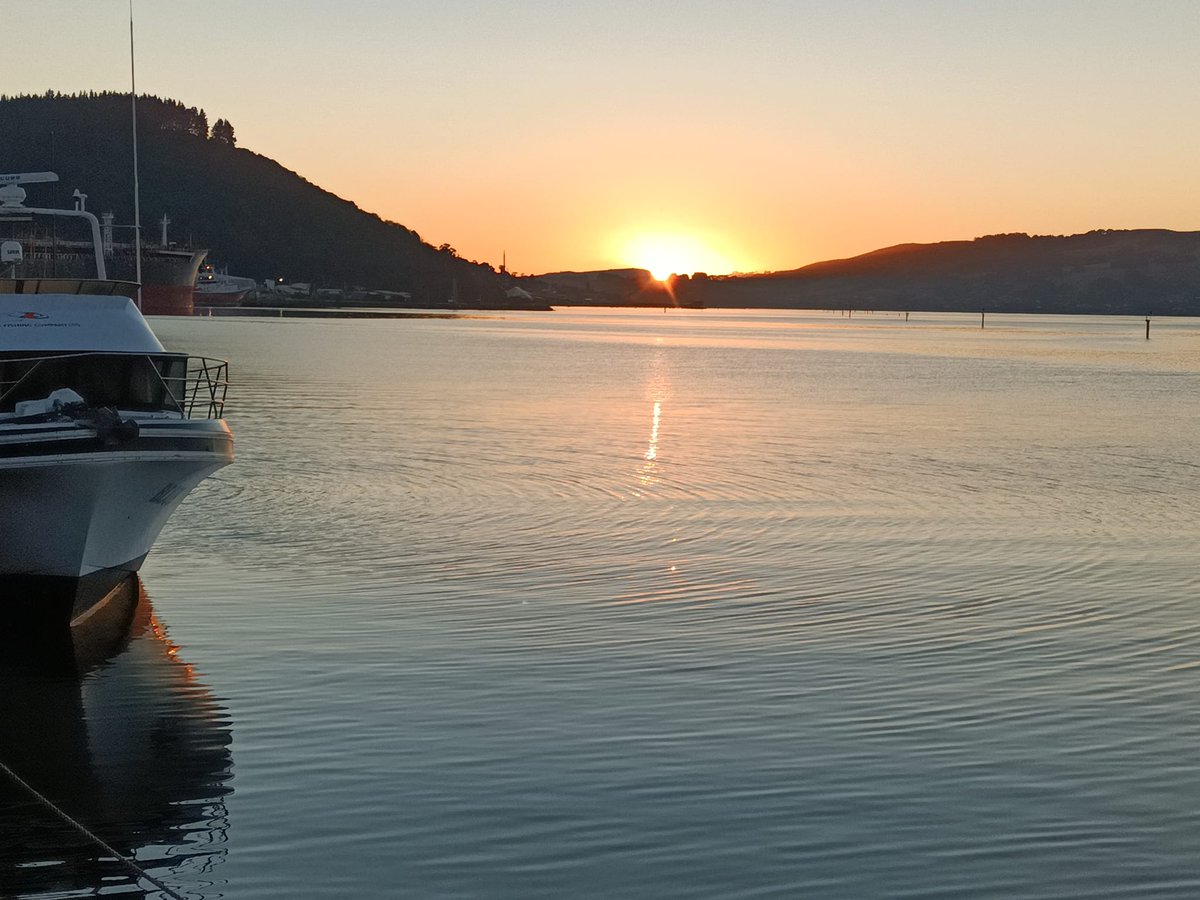 HumC11413's tweet image. Honesty is the foundation of trust and integrity in both life and relationships. It promotes open communication, builds respect, and fosters deeper connections. Without honesty, relationships can crumble and personal growth can be stunted.