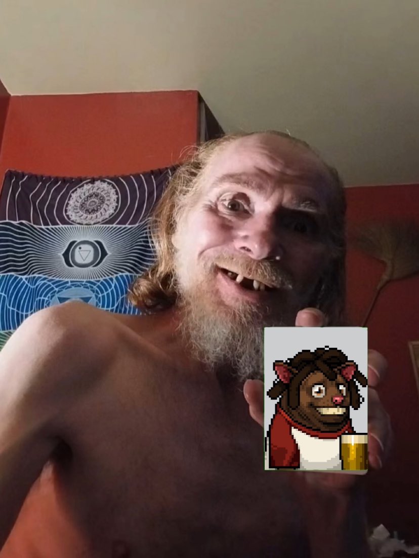 HAMSTER COIN tweet media