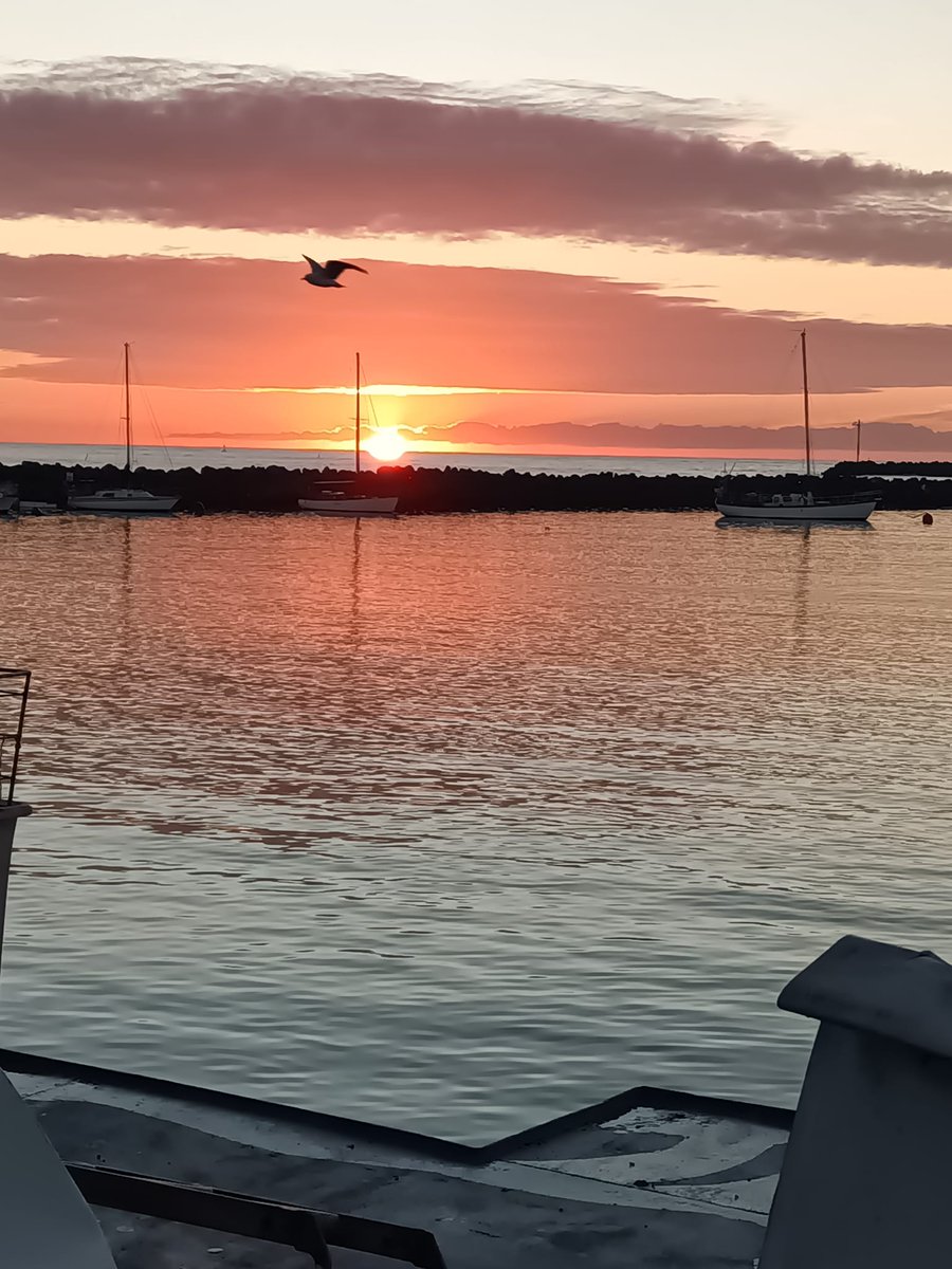 HumC11413's tweet image. When we are honest with ourselves, we build trust with ourselves and others. When we are truthful about our thoughts, feelings, and actions, we create a foundation of trust that others can rely on. Honesty is essential for building healthy relationships,