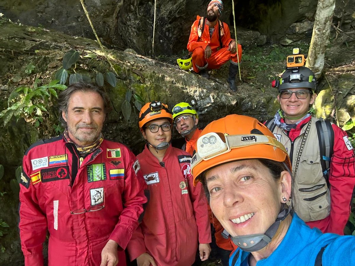 Carlos Lasso tweet media