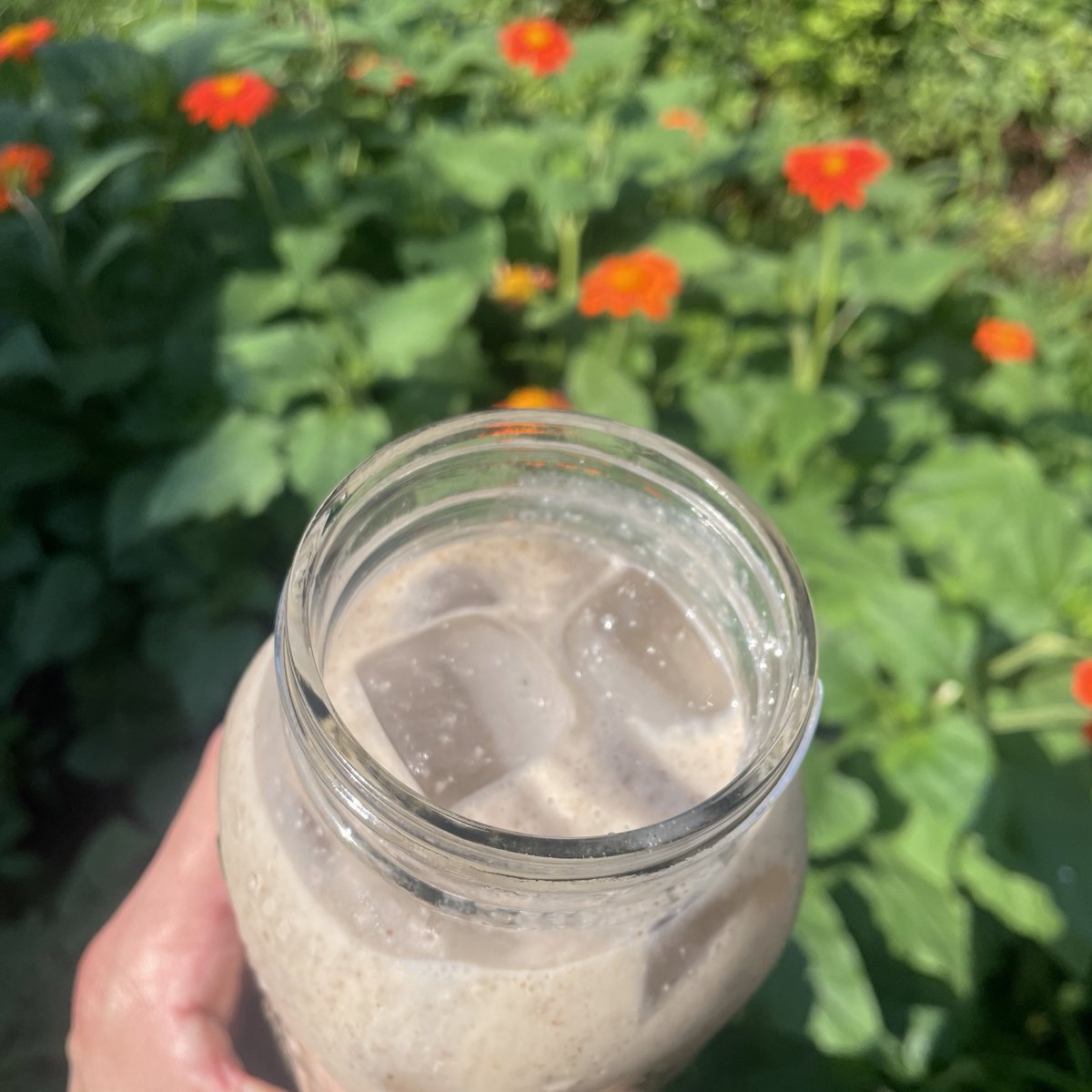 hatchdw's tweet photo. Banana smoothies and watching my sunflowers grow! Perfect morning #MeMoment. https://t.co/a8aU2Wowi2 #NatureBingo https://t.co/ZabYfjlZWz