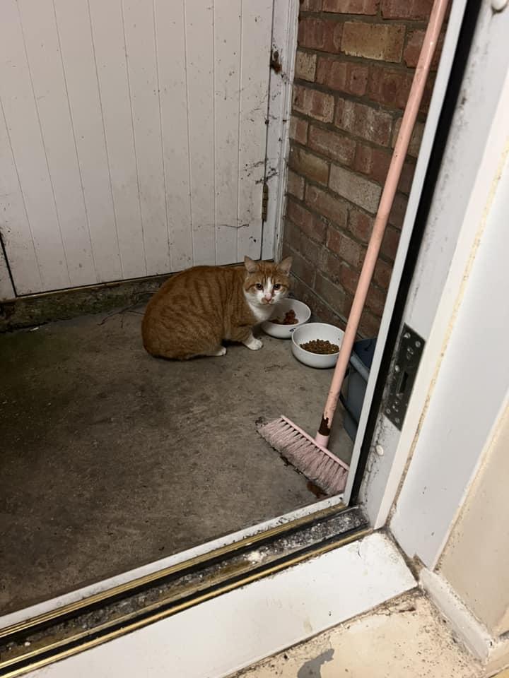 HumC11413's tweet image. Honesty implies being truthful. Honesty means to develop a practice of speaking truth throughout life. A person who practices Honesty in his/her life possesses strong moral character. An Honest person shows good behavior, always follows rules and regulations, maintains discipline