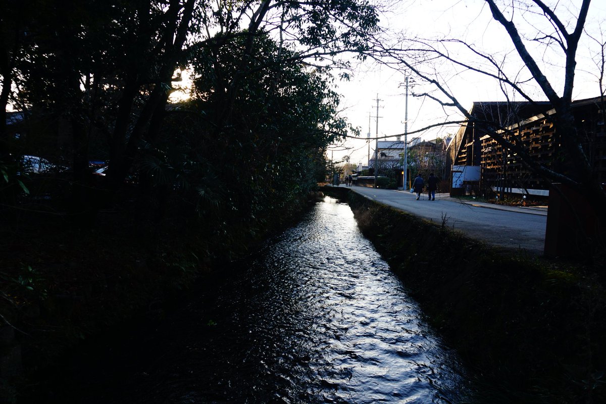 constthinker's tweet photo. Lake Kirin #Yufuin #Oita #Japan #photography #view #Hobby https://t.co/JqahrjWpZp