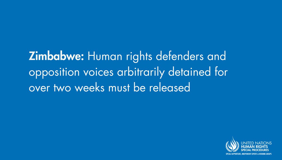 UN_SPExperts's tweet photo. #Zimbabwe 🇿🇼 must immediately release #HumanRights defenders who have been arbitrarily detained for over two weeks and drop charges against them, UN experts state.

https://t.co/giO9JvaLI1 https://t.co/0xqYx3vzvw