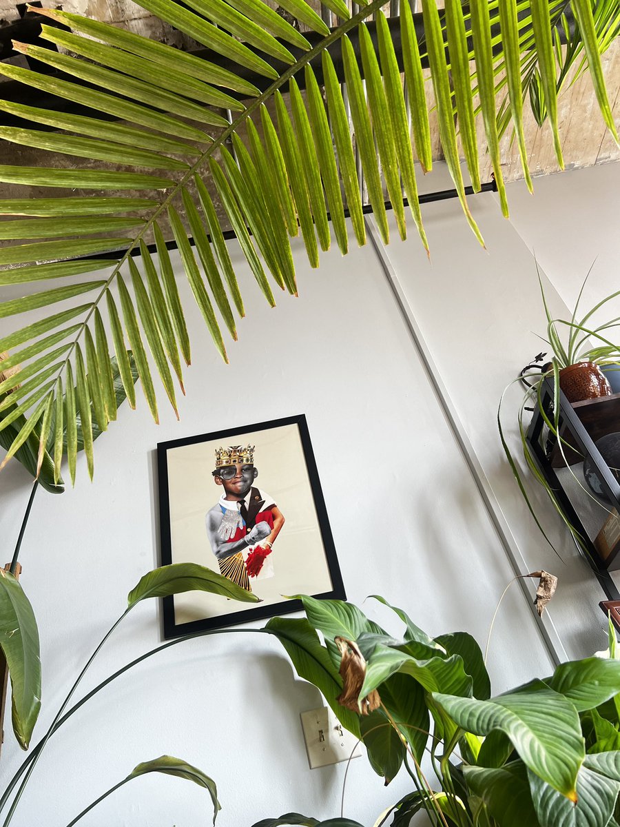 jstreete tweet media