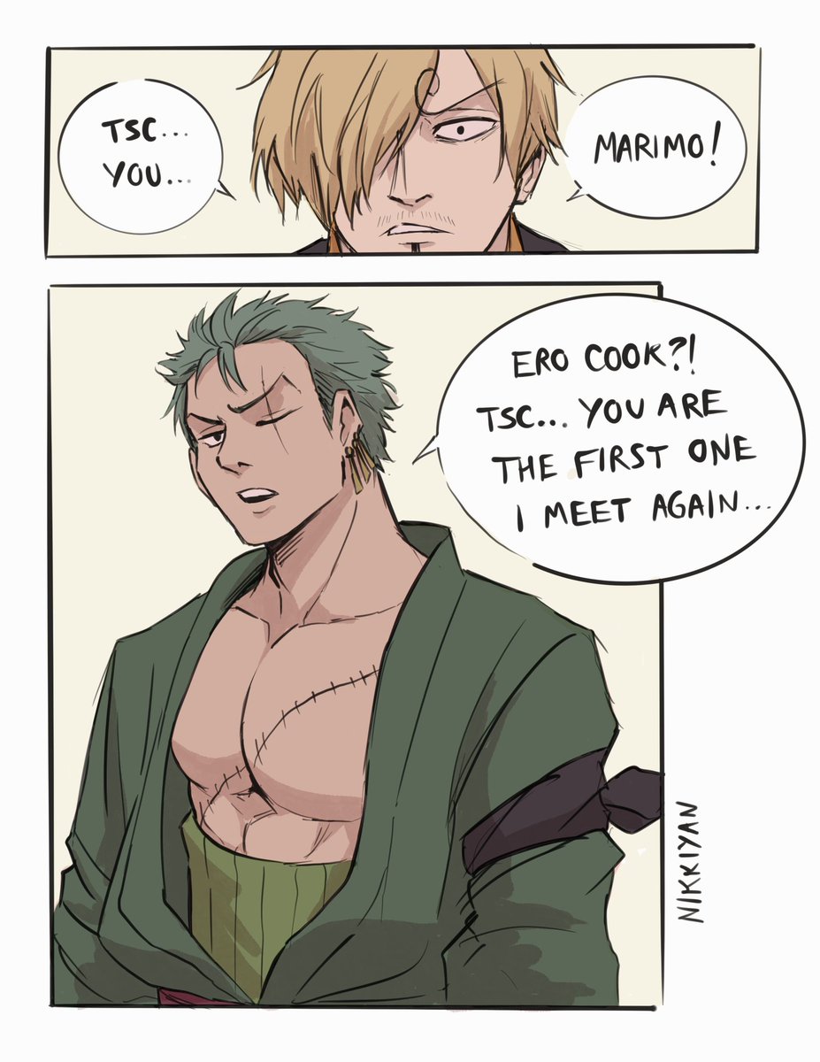 nikkiyan_'s tweet photo. After time skip 🌞 (PART 1) #zosan #ゾロサン https://t.co/A0W8vqjOSt
