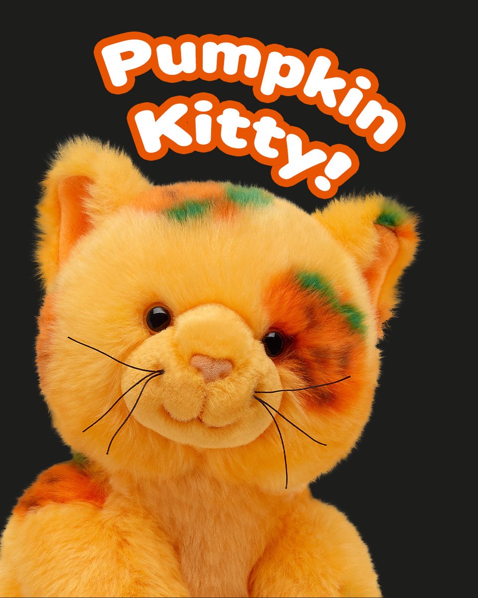 buildabear's tweet image. ONLINE NOW! Run to our website to get your hands on Vault Pumpkin Kitty before it disappears again! Link in bio.

ms.spr.ly/6011lSdhd

*US Only