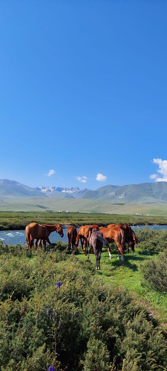 SaraTM85's tweet photo. A new yrea in Central Asia -  Kyrgyzstan https://t.co/JwB4qs31A3