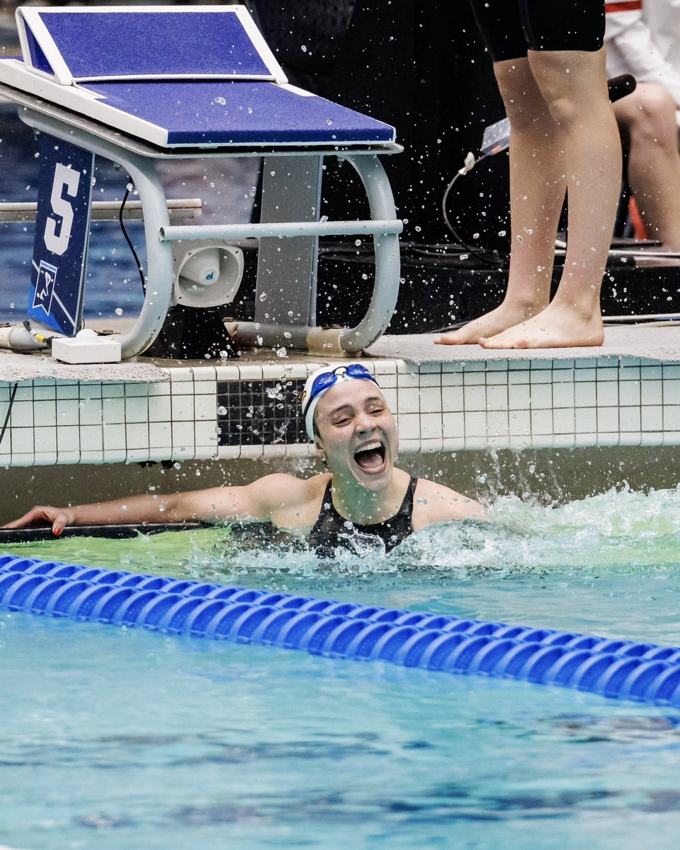 Louisville Swim & Dive tweet media