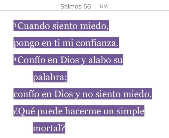 Silvia Ramos (@sivivimosr) on Twitter photo 