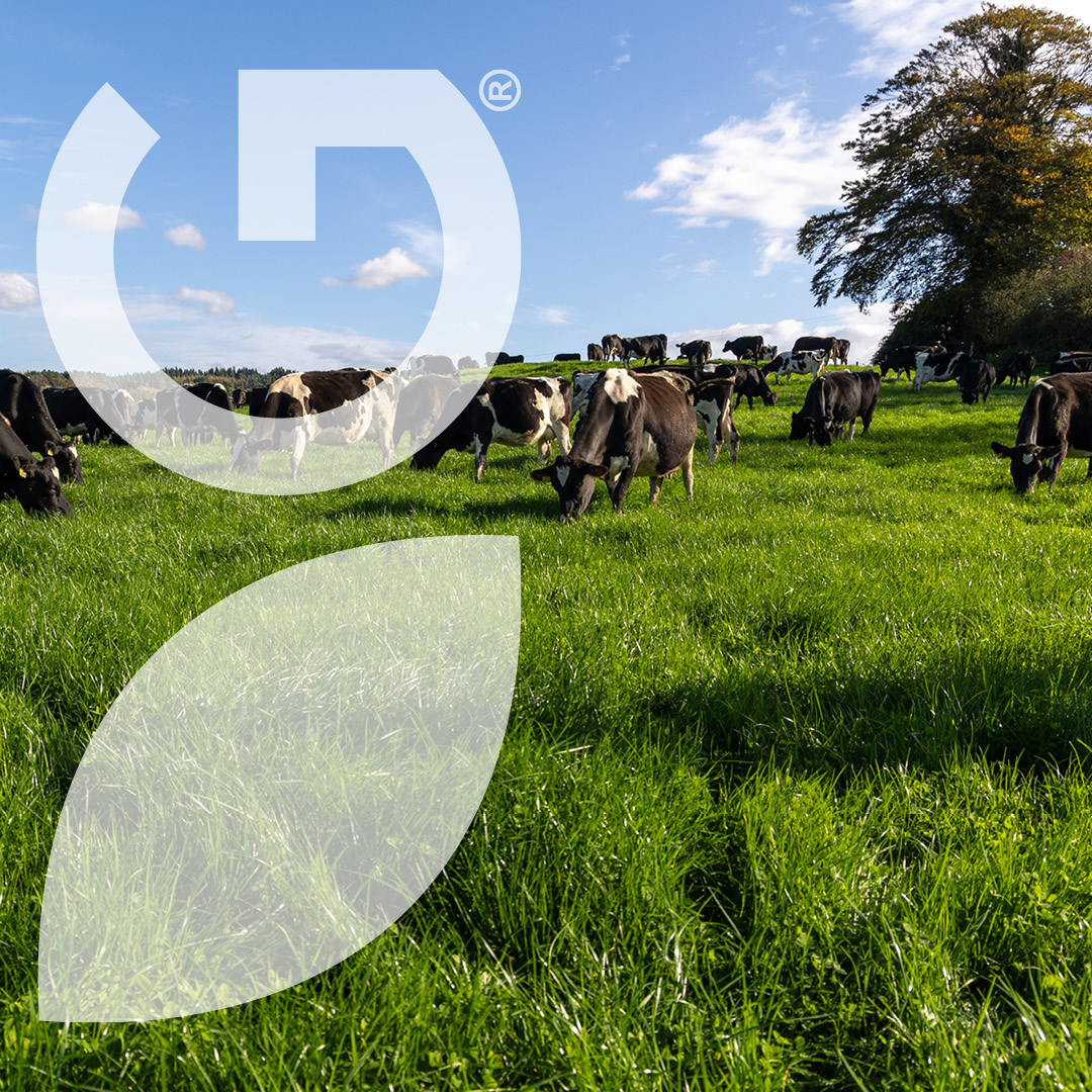 Germinal Ireland tweet media