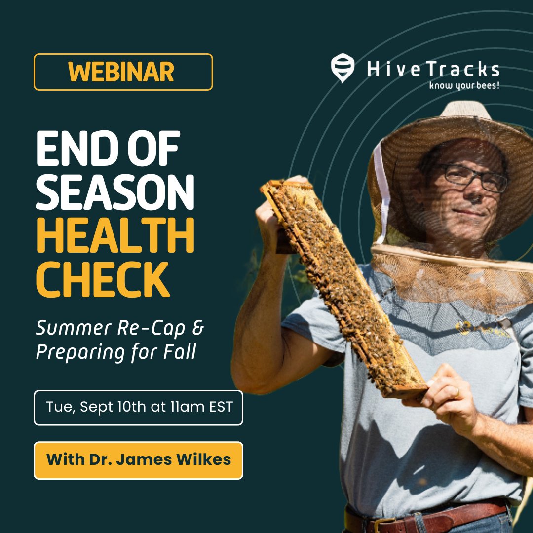 📢 Save the date and don’t miss the chance to connect and learn! Reserve your spot here 👉bit.ly/HiveTracksWebi…
