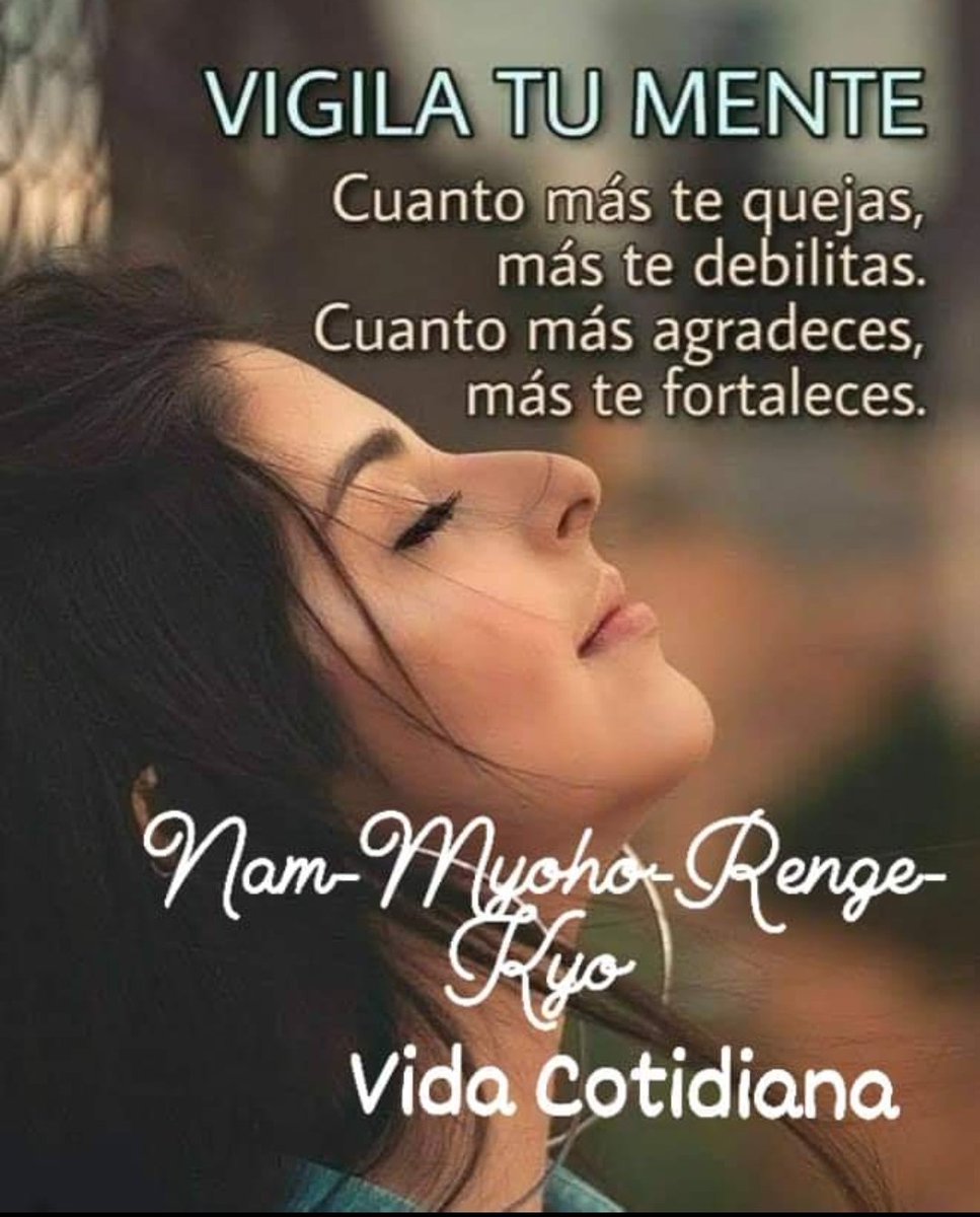 Budaenperu's tweet photo. @AndreinaHoffman https://t.co/kDIKZzmbYa