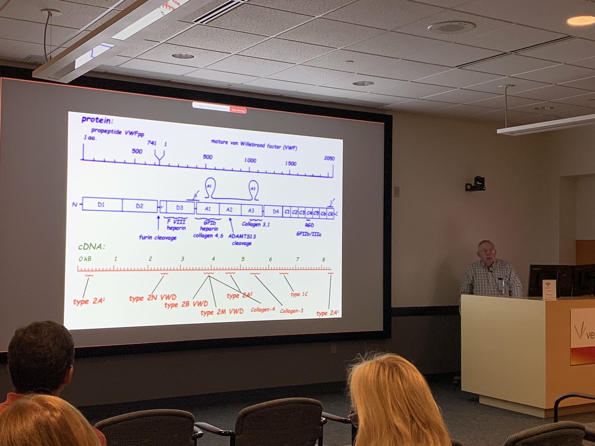 Hervé Falet 🌻 (@hfalet) on Twitter photo Biology of #VWF: #Thrombosis & #Hemostasis Summer Education Series presentation given by the #GOAT, <a href="/VersitiResearch/">Versiti Blood Research Institute</a> investigator Bob Montgomery. Biology of #VWF: #Thrombosis & #Hemostasis Summer Education Series presentation given by the #GOAT, <a href="/VersitiResearch/">Versiti Blood Research Institute</a> investigator Bob Montgomery.
