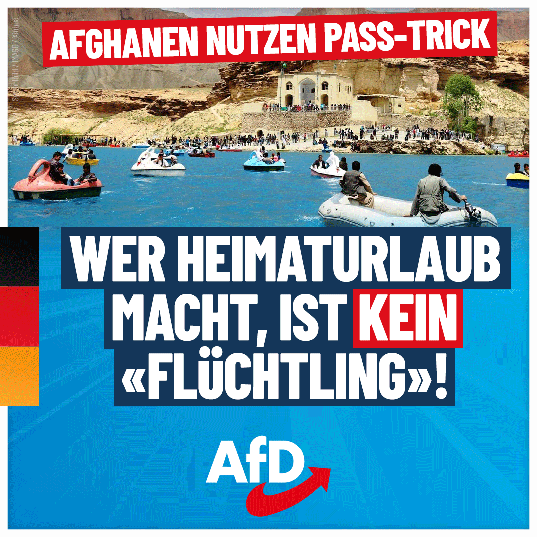 AfD tweet media