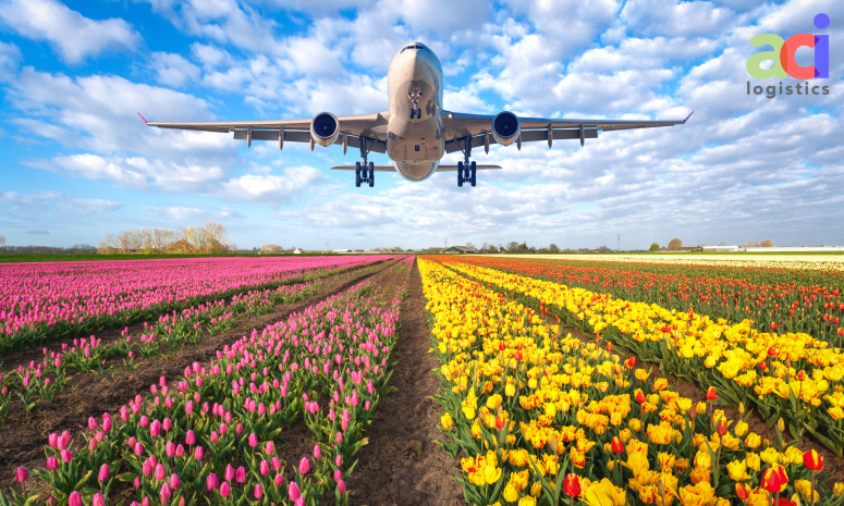 aci_dwc's tweet photo. At ACI Logistics, we specialise in shipping perishable items like flowers. Count on us to deliver your delicate blooms fresh and on time with our expert handling. Get in touch for your floral shipping needs!
#ACILogistics #FlowerDelivery #PerishablesShipping #LogisticsSolutions https://t.co/n5n5xiGVkn