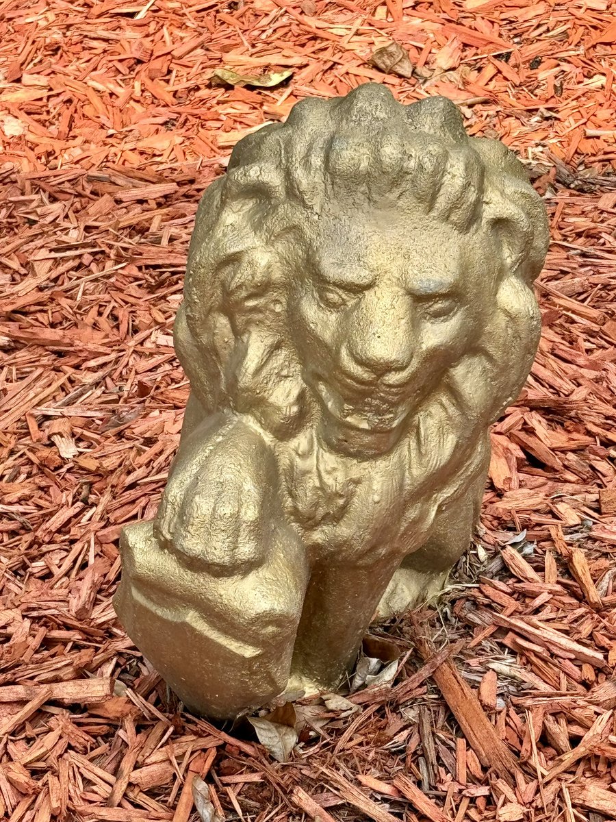 Dr. Tracey Miller tweet media