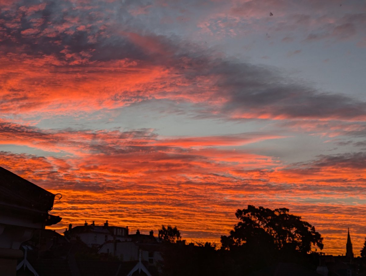 Lucy Peppiatt tweet media